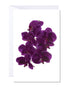 A greeting card featuring a vibrant image of purple orchids on a white background.