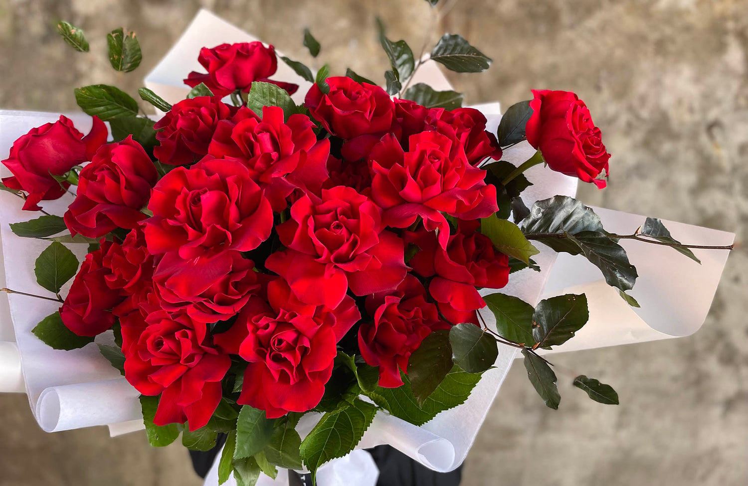 Close-up of a red rose bouquet with beautiful wrapping including white wrapping