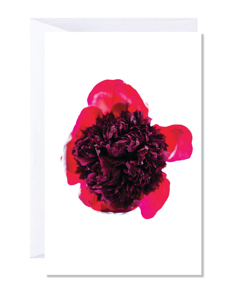A greeting card featuring an abstract image of a red peony flower on the cover.