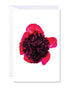 A greeting card featuring an abstract image of a red peony flower on the cover.
