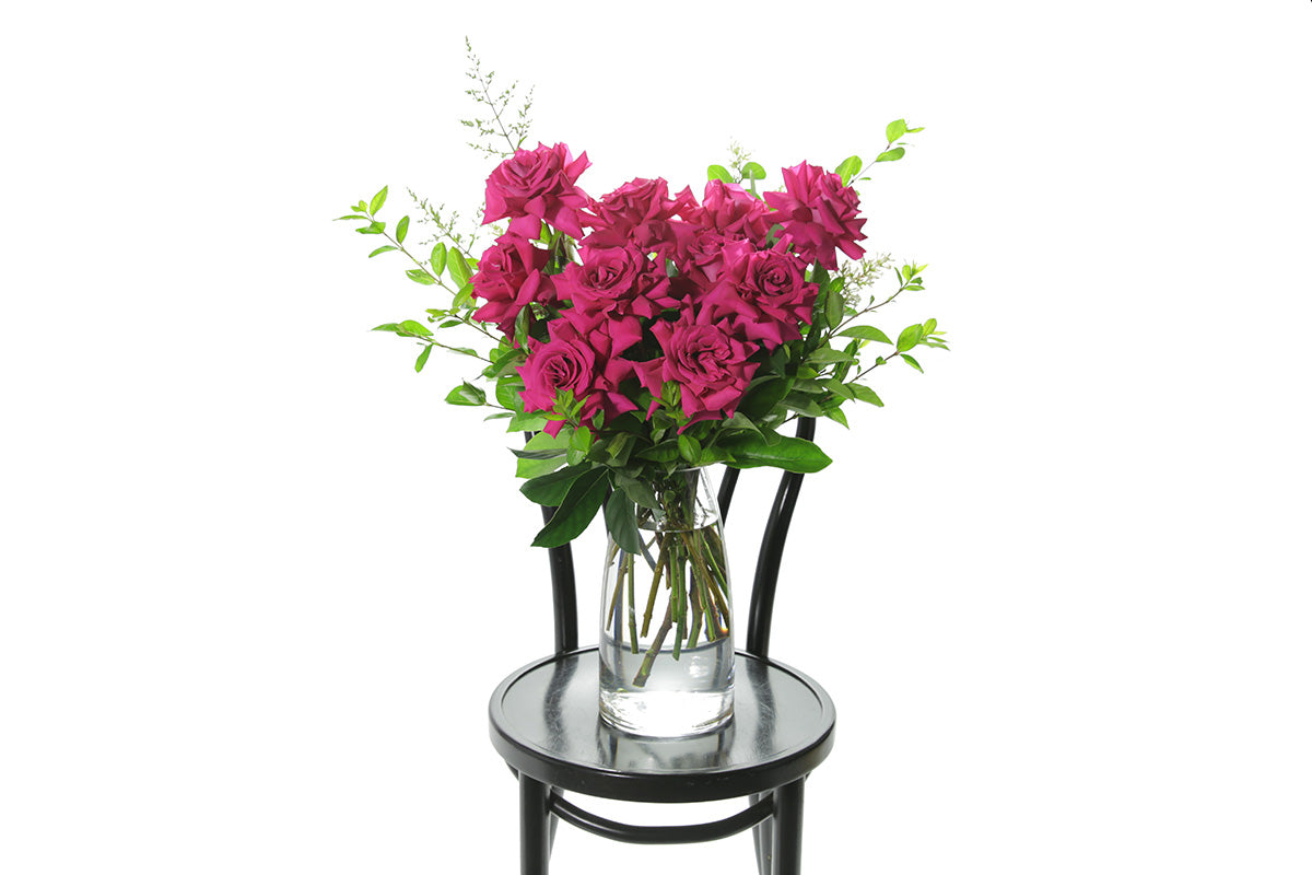 Hot pink reflexed roses displayed in a clear glass tapered vase sitting on a black bentwood chair with white background.