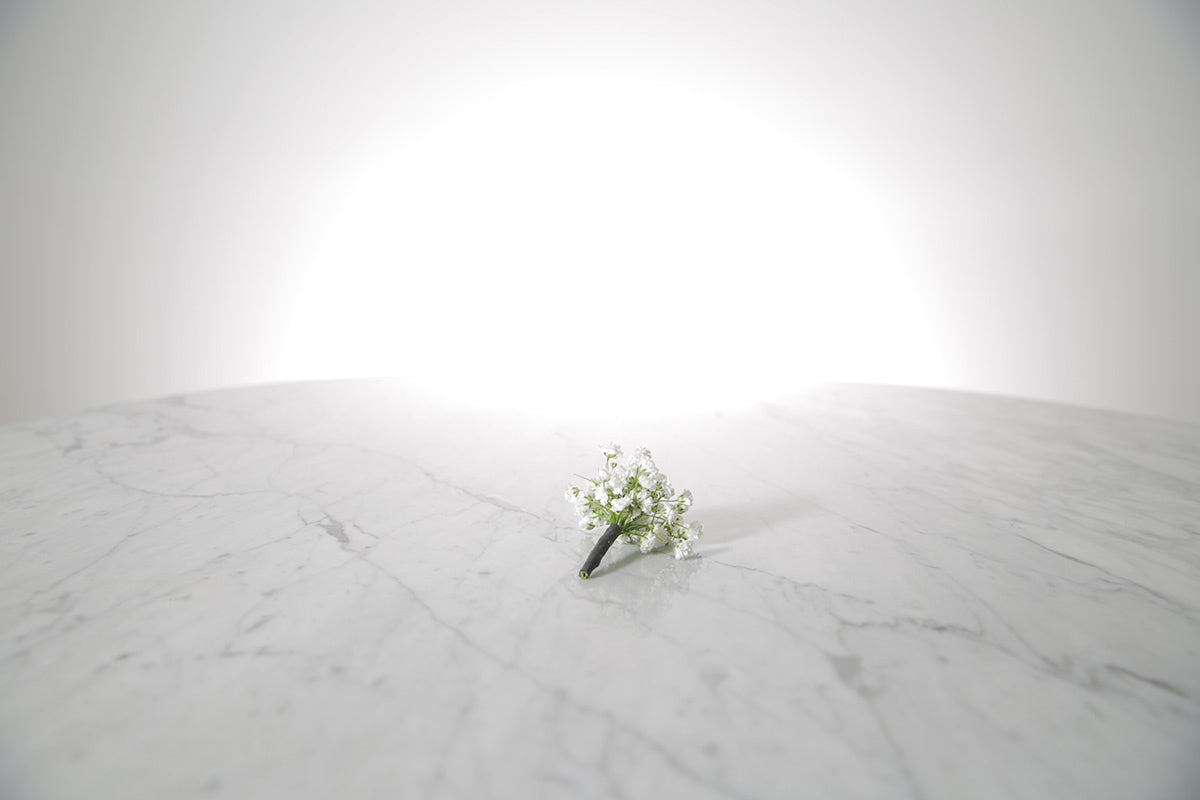 White flower boutonniere buttonhole flowers on a marble surface with a white background