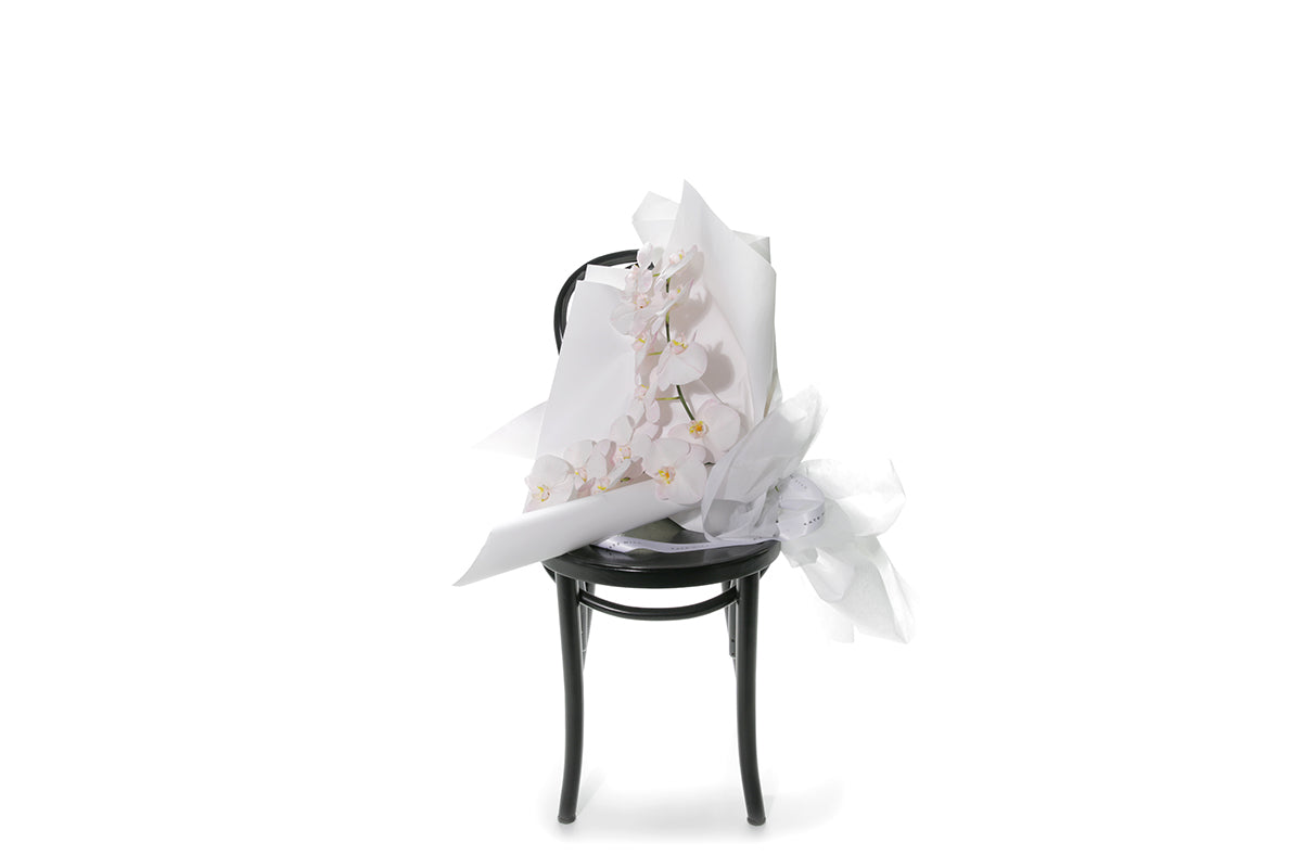 Kate Hill Flowers – gift-wrapped blush Phalaenopsis orchid bouquet with two stems, water-vialled.