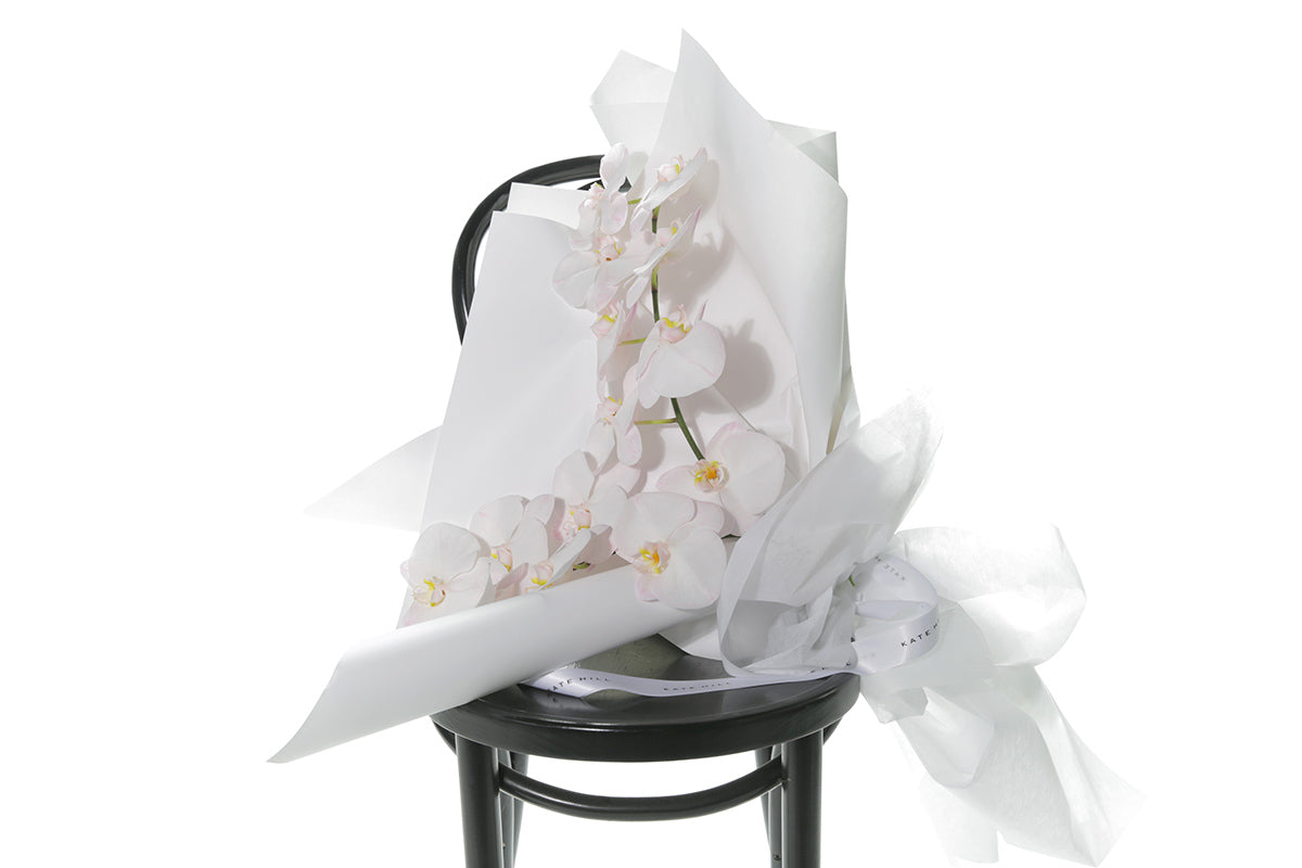 Kate Hill Flowers – gift-wrapped blush Phalaenopsis orchid bouquet with two stems, water-vialled.