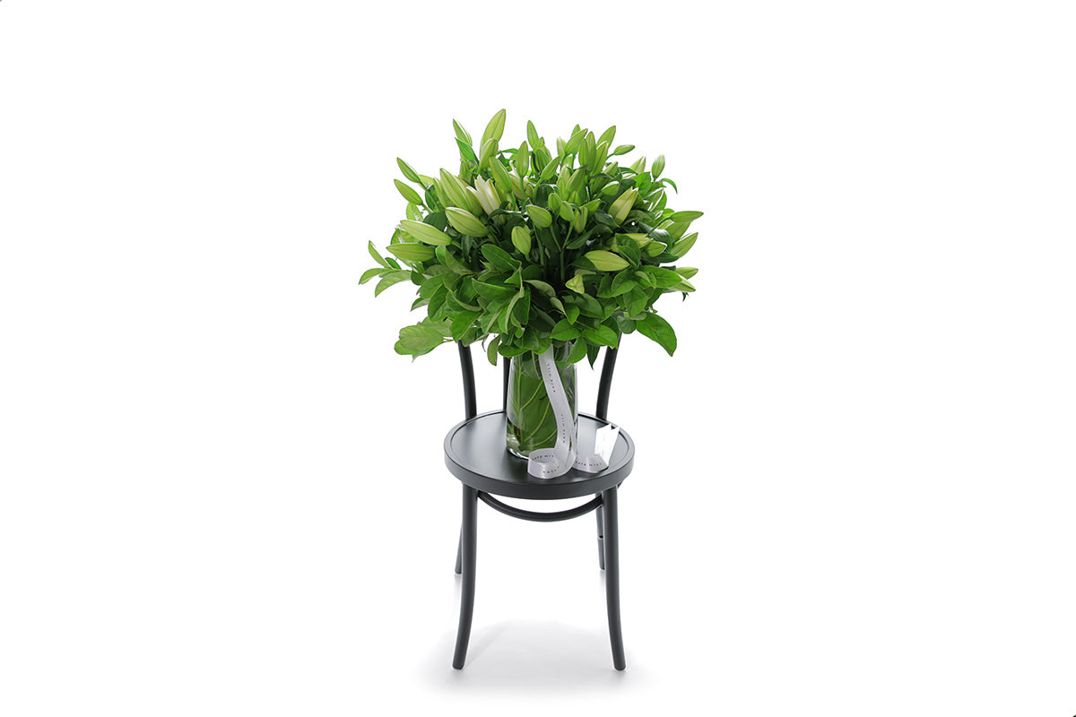 VALERIE 20 stems of white oriental lilies in a tapered glass vase lined with monsteria