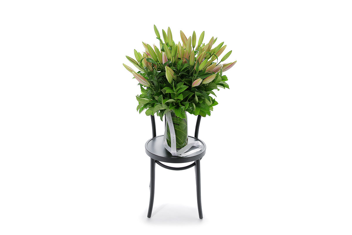 VARDA 20 stems of pink oriental lilies in a tapered glass vase lined with monsteria