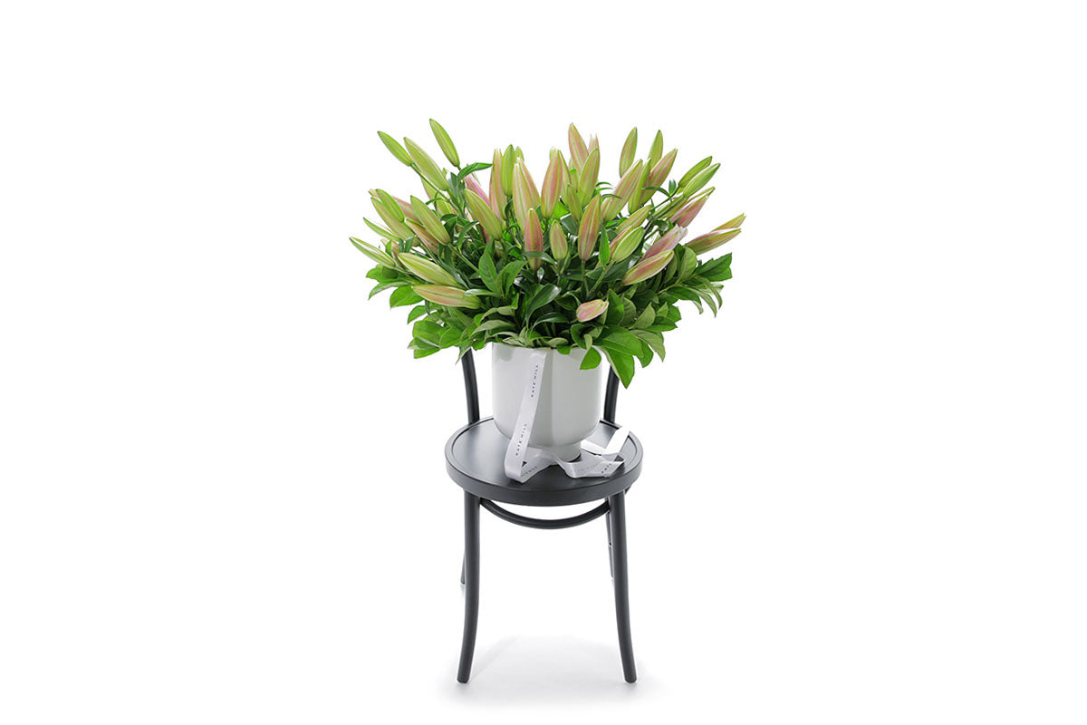 VARDA 20 stems of pink oriental lilies in a large white footed ceramic vessel
