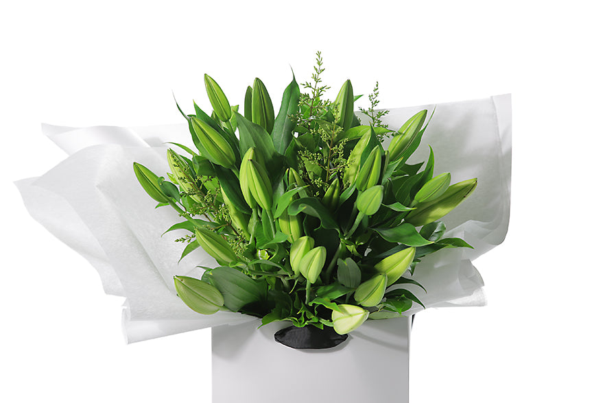 Close up image of the VALERIE lily bouquet. Large gift bouquet displaying white oriental lilies (in bud not open) and green seasonal foliage. Gift bouquet presented in Kate Hill Flower Bag. Bouquet bag sitting on a black bentwood chair.