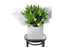 Large gift bouquet displaying white oriental lilies (in bud not open) and green seasonal foliage. Gift bouquet presented in Kate Hill Flower Bag. Bouquet bag sitting on a black bentwood chair.
