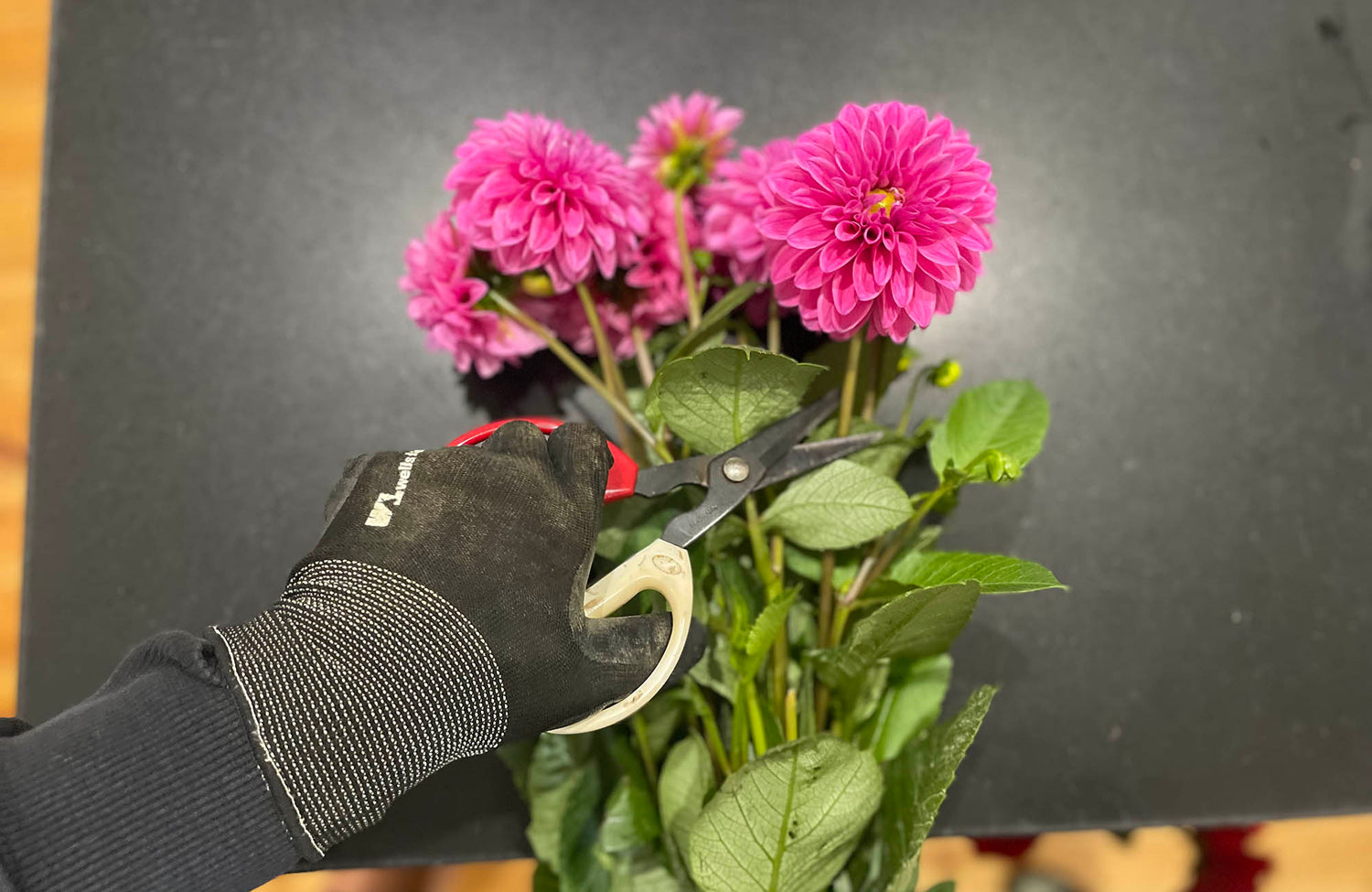 Florist cutting pink flowers on workbench while wearing gloves.