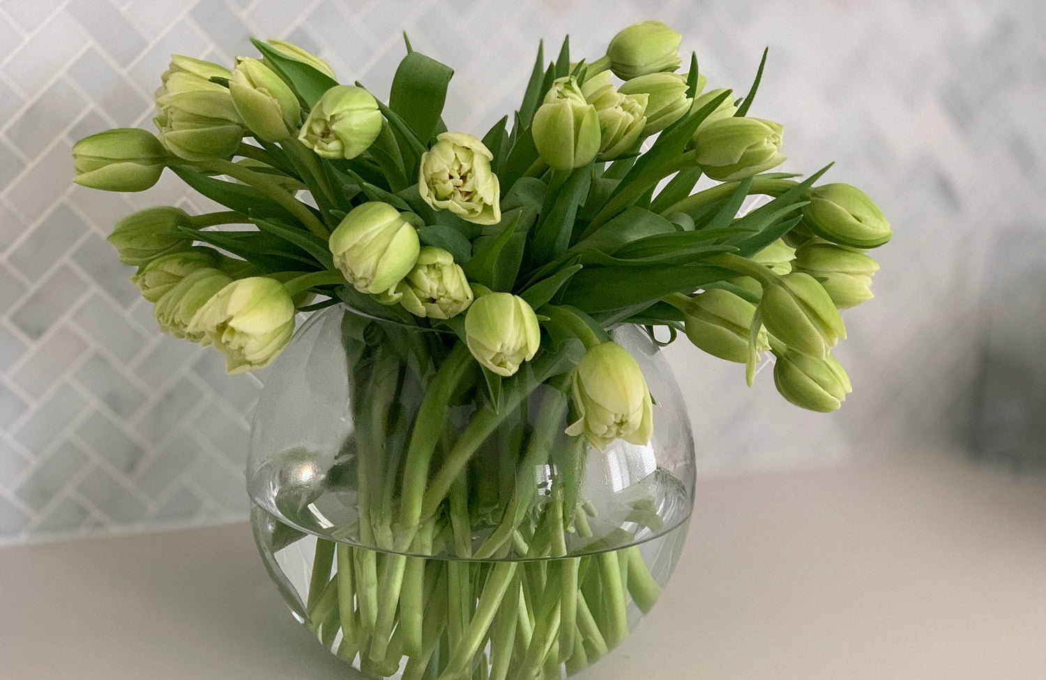 Tulip flowers in a clear vase on a bench 