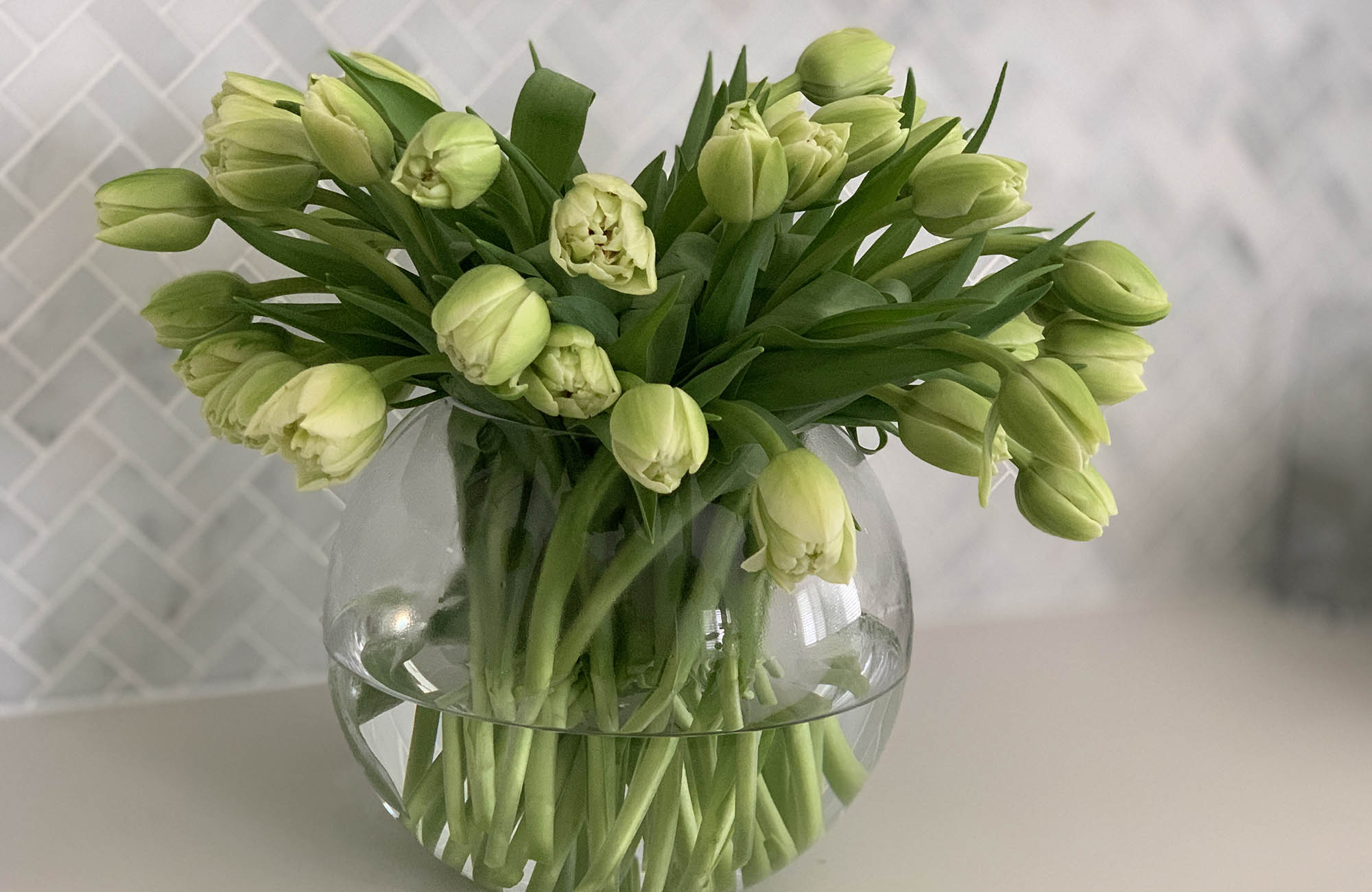 Tulip flowers in a clear vase on a bench 