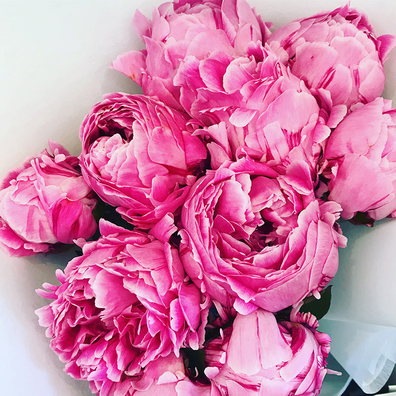 Fresh pink peonies ready for delivery at Kate Hill Flowers