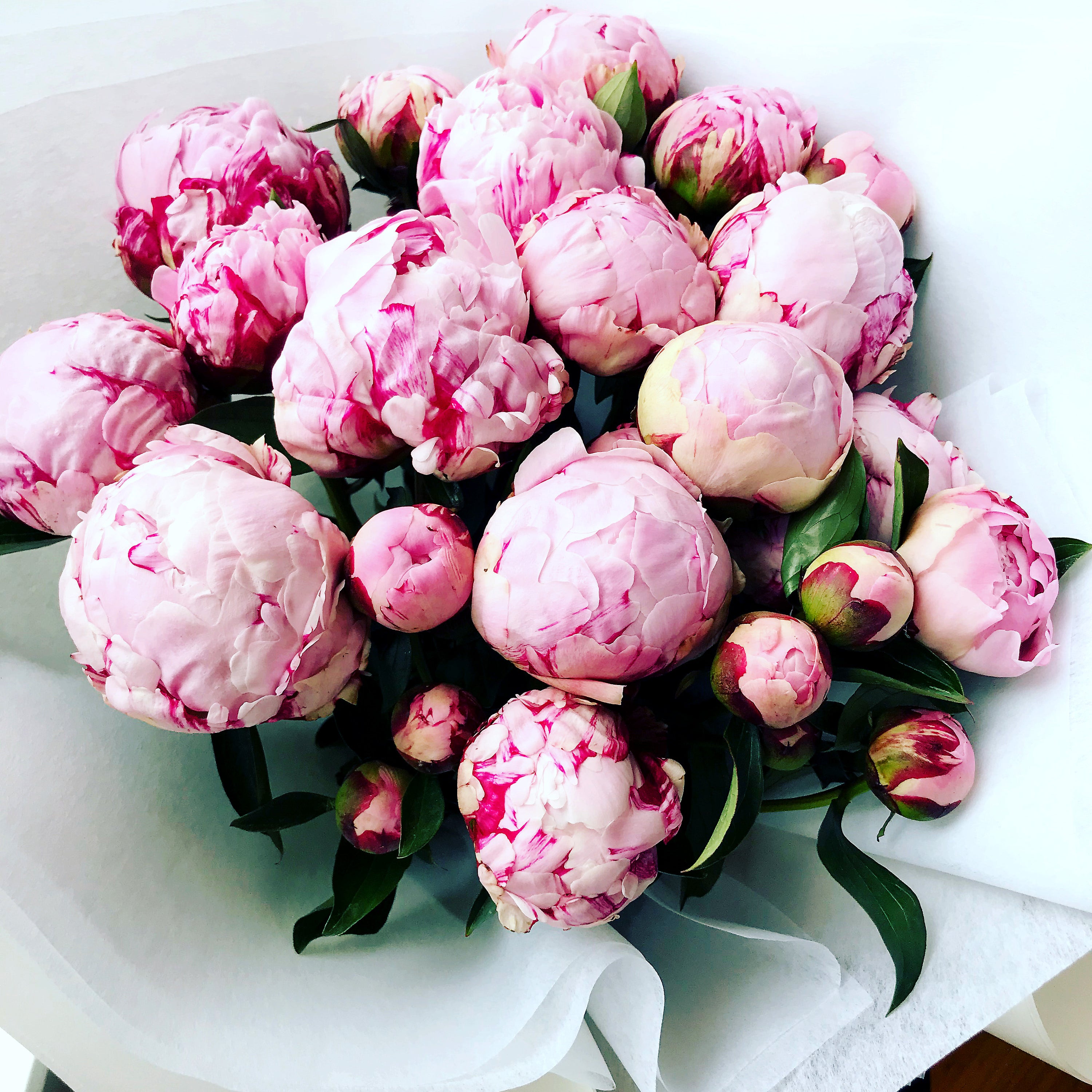 A close up of a bouquet of Pink Peonies wrapped in white paper