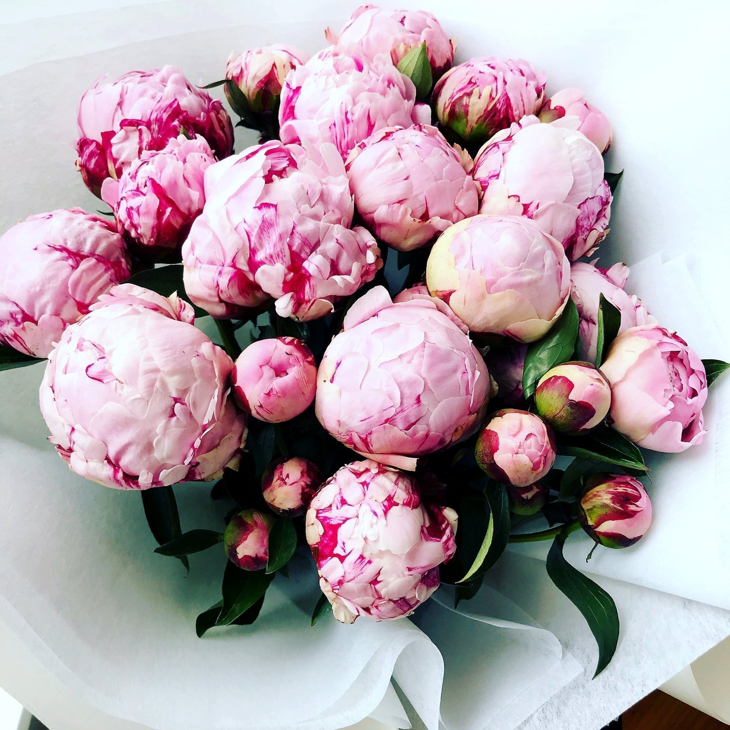 Luxurious pink Herbaceous Peony bouquet hero image 