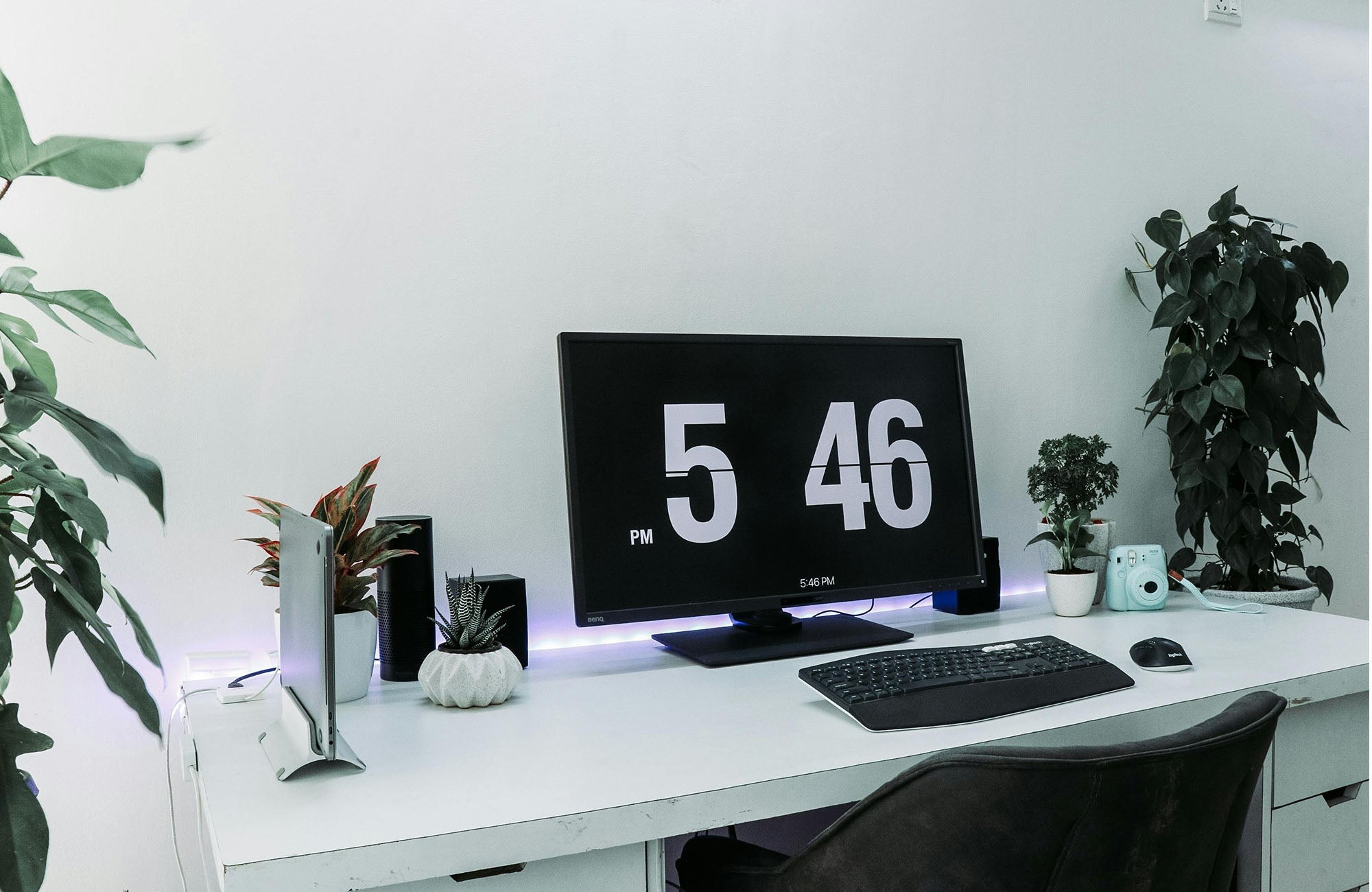 Neat desk setting decorated by plants