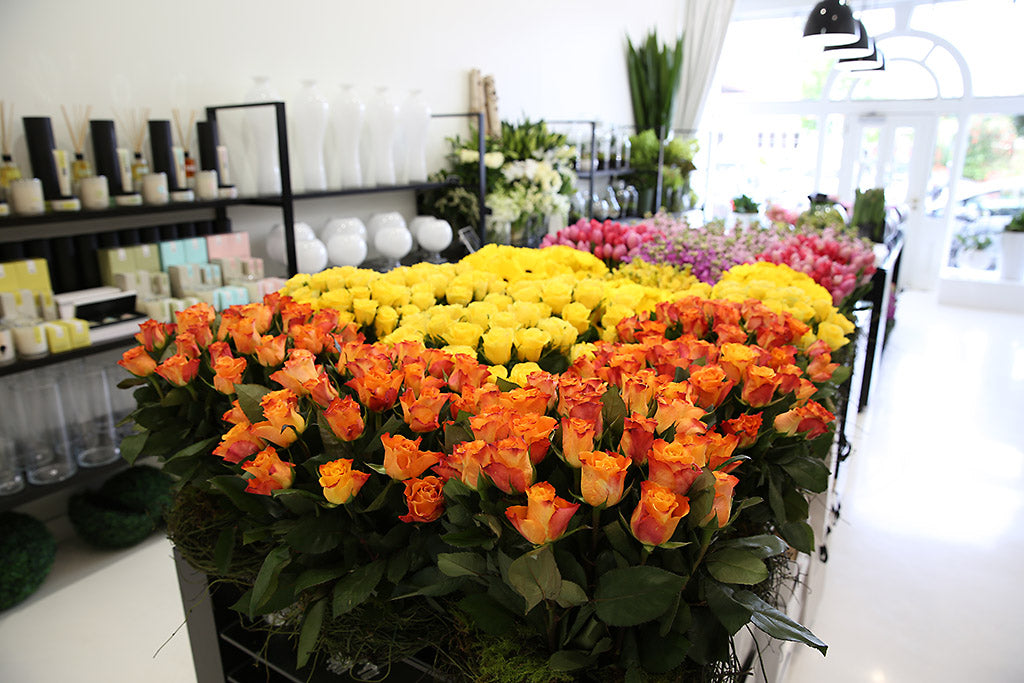 Roses on display for sale in a Melbourne Florist