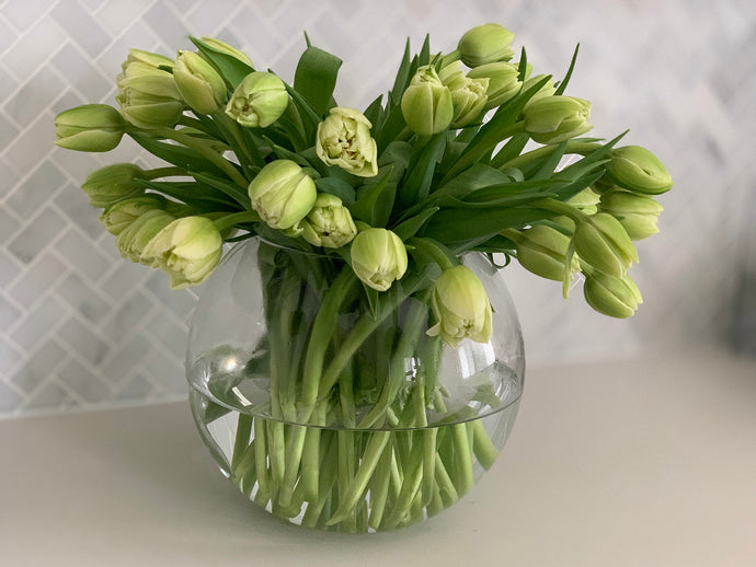 How to style White Tulip Flowers at Home
