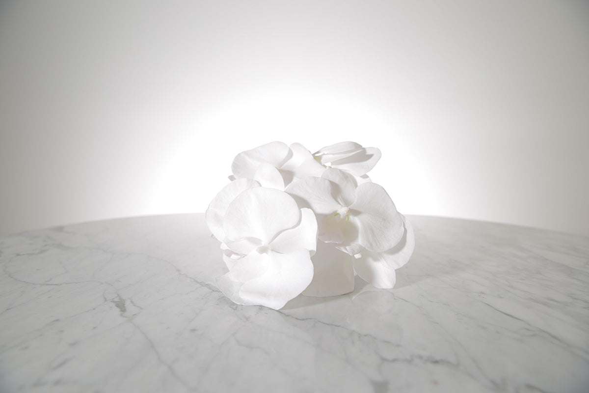 Phalaenopsis orchid wedding bouquet by Kate Hill Flowers Melbourne