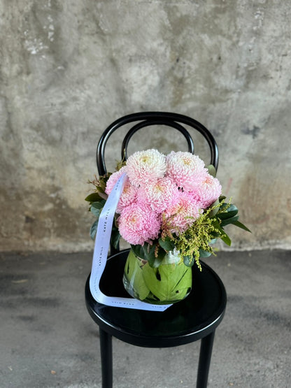 Close up image of A tapered vase displaying blush pink disbuds and foliage, sitting on a black bentwood chair in front of a concrete wall.