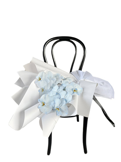 Pale blue orchid flowers and paper on a black chair against a textured wall.