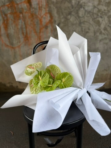Bouquet of green flowers wrapped in white paper on a black chair against a textured wall.