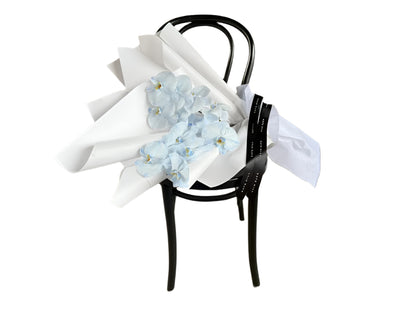 Black chair with pale blue orchid flowers and tissue paper against a concrete wall.
