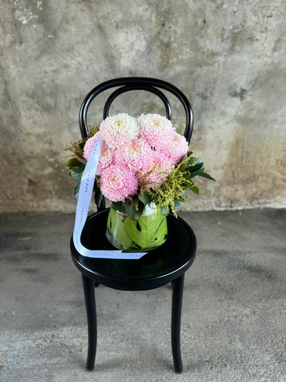 A tapered vase displaying blush pink disbuds and foliage, sitting on a black bentwood chair in front of a concrete wall.