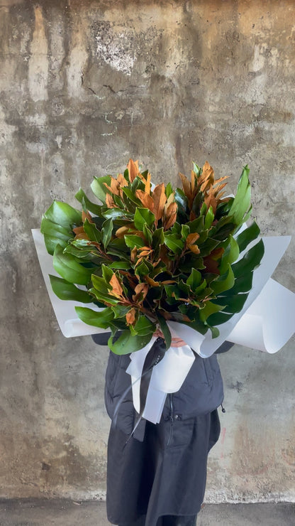 Video of Florist holding a A large bouquet of magnolia foliage and monsteria leaves. Florist standing in front of concrete wall.