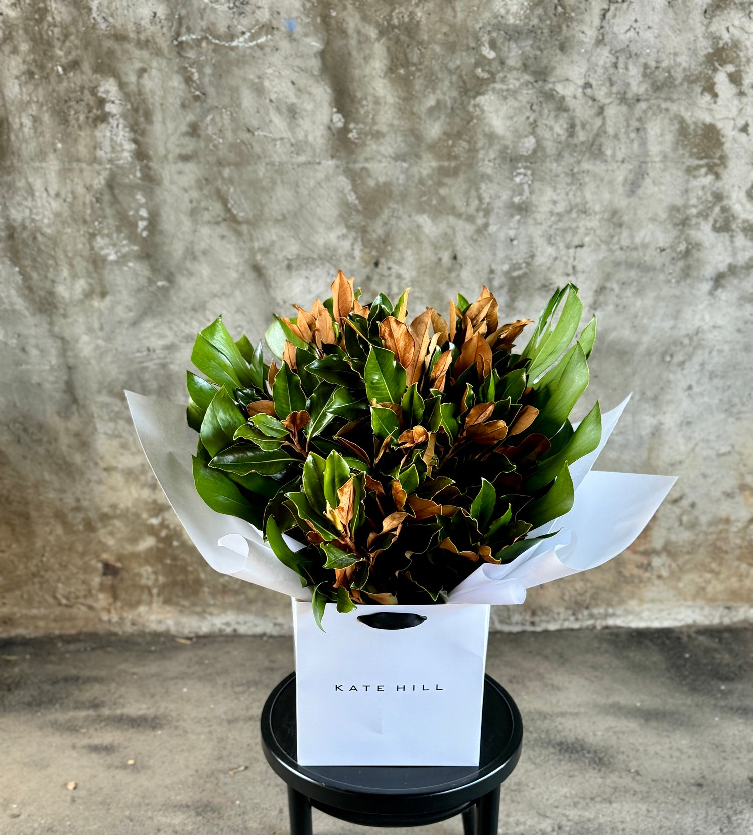 Close up image of A large bouquet of magnolia foliage and monsteria leaves, beautifully gift wrapped in white signature wrapping and placed into kate hill flower bag. Bouquet sitting on black bentwood chair with concrete wall background.