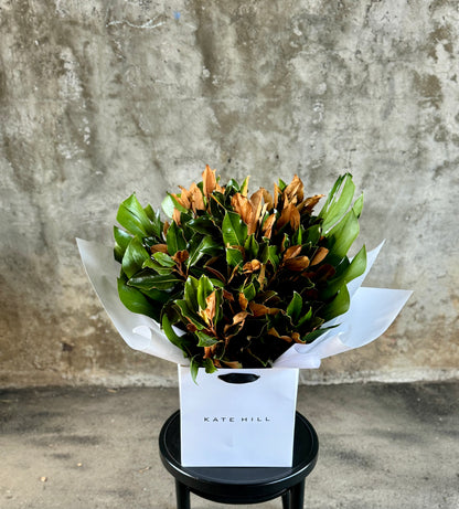 Close up image of A large bouquet of magnolia foliage and monsteria leaves, beautifully gift wrapped in white signature wrapping and placed into kate hill flower bag. Bouquet sitting on black bentwood chair with concrete wall background.