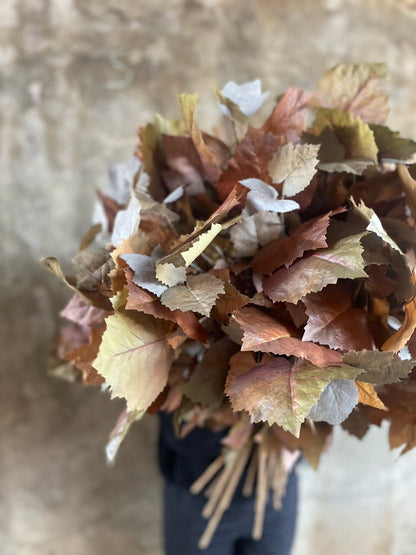 Up close image of Florist wearing black holding a big bunch of Artificial stems of faux maple foliage, standing in front of a concrete wall.