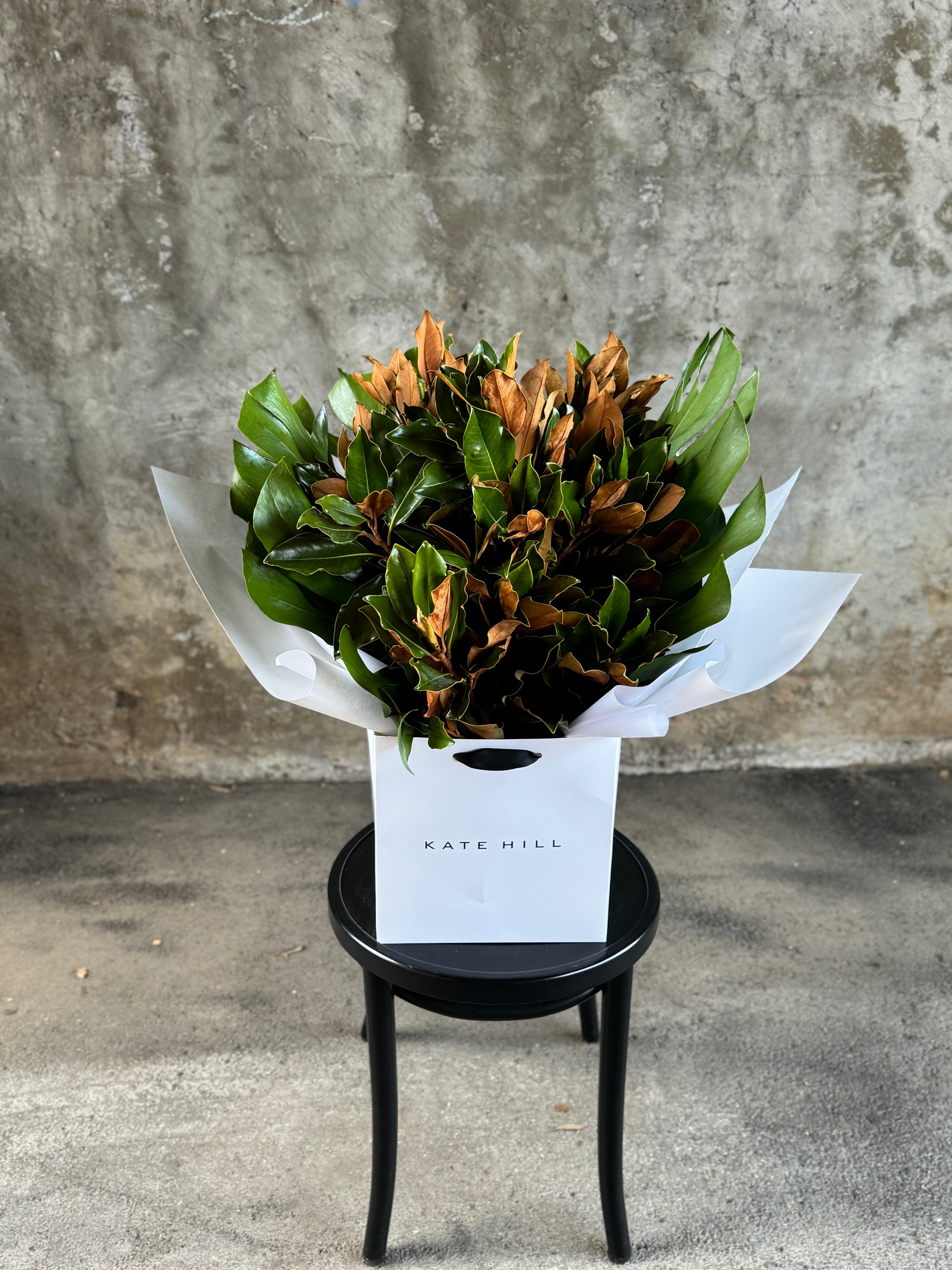 A large bouquet of magnolia foliage and monsteria leaves, beautifully gift wrapped in white signature wrapping and placed into kate hill flower bag. Bouquet sitting on black bentwood chair with concrete wall background.