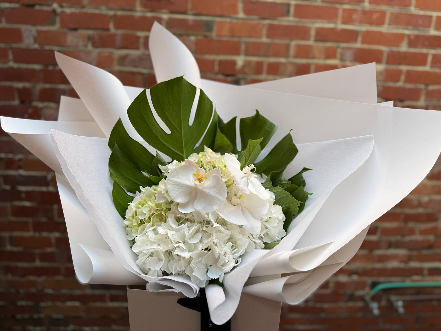 Bouquet of white flowers with green leaves wrapped in paper against a brick wall.