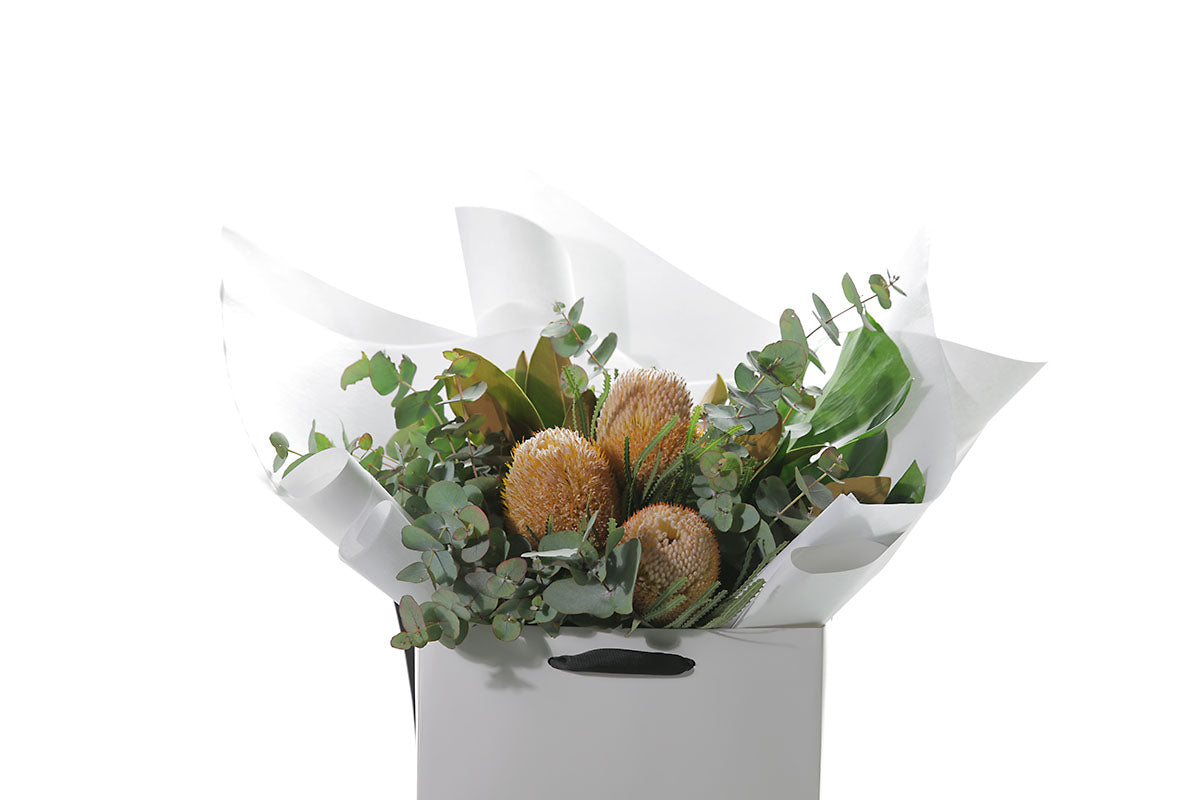 Close up image of an australian native flower bouquet, beautifully wrapped in Kate Hill signature style (in flower bag) and sitting on a black bentwood chair, in front of a white wall.