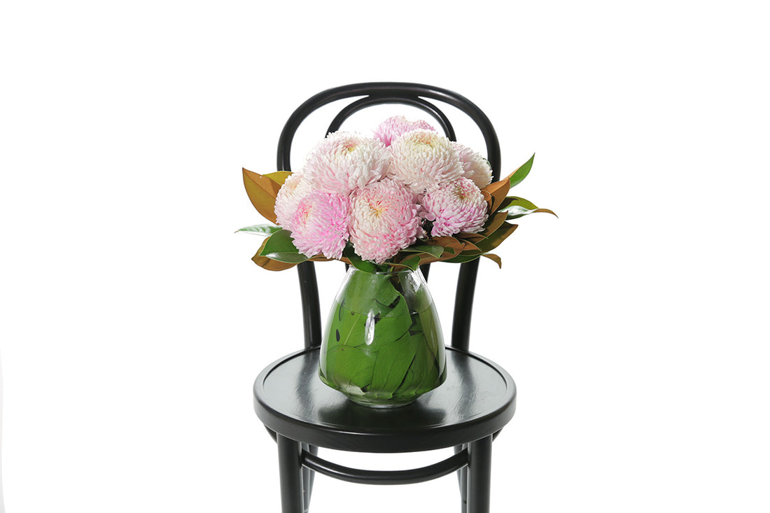 A mushroom vase, lined with green monsteria leaves, displying pink blush disbuds and a hint of foliage. Vase deisign sitting on a black bentwood chair with a white background.