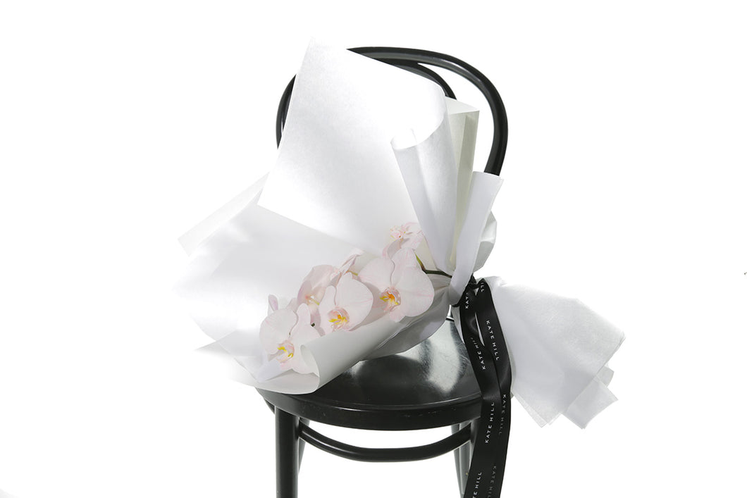 A beautiful single stem of blush phalaenopsis orchid, stylishly wrapped in our signature white wrapping. Annette bouquet laying on a black bentwood chair with a white background.