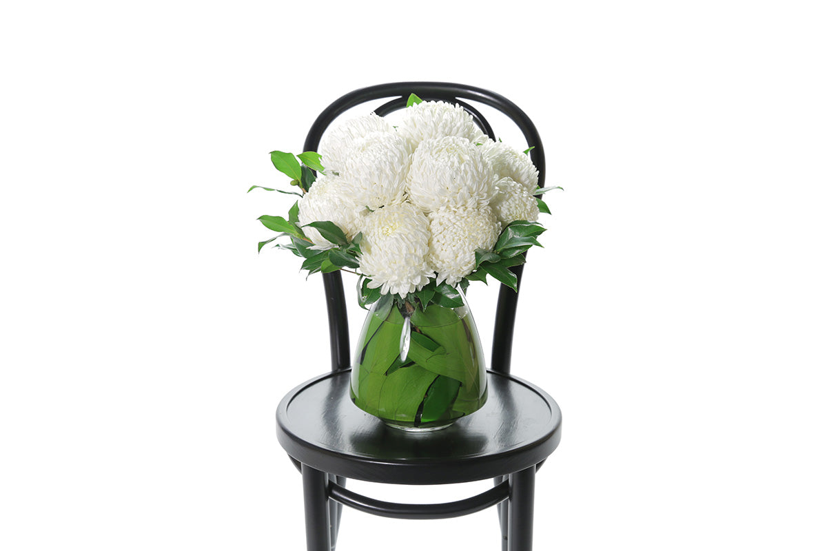 ARLO Tapered Vase Flower Design features white disbuds, a hint of foliage and is displayed into a leaf lined mushroom vase. Vase Design is sitting on a black bentwood chair with a white background.