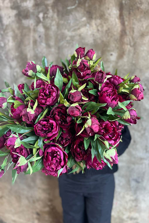 Melbourne florist holding artificial flower arrangement containing purple Peony roses