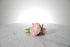 Kate Hill Flowers – artificial pale pink peony rose buttonhole flowers with green leaf backing and pearl pin set on a marble table.