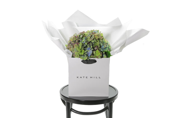 Autumnal hydrangea bouquet, beautifully wrapped in our white signature presentation, placed into our flower bag to ensure the hydrangea stays fresh. Your AUDREY bouquet sits in a water vessel inside the bag. Bouquet is sitting on black bentwood chair.