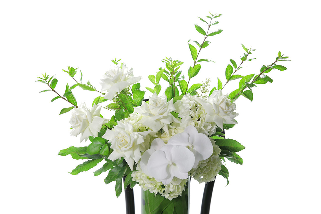 Tall glass vase, lined with green leaves, featuring seasonal white and green flowers. Large vase design sitting on black bentwood chair with white background. Close up image of the flowers.