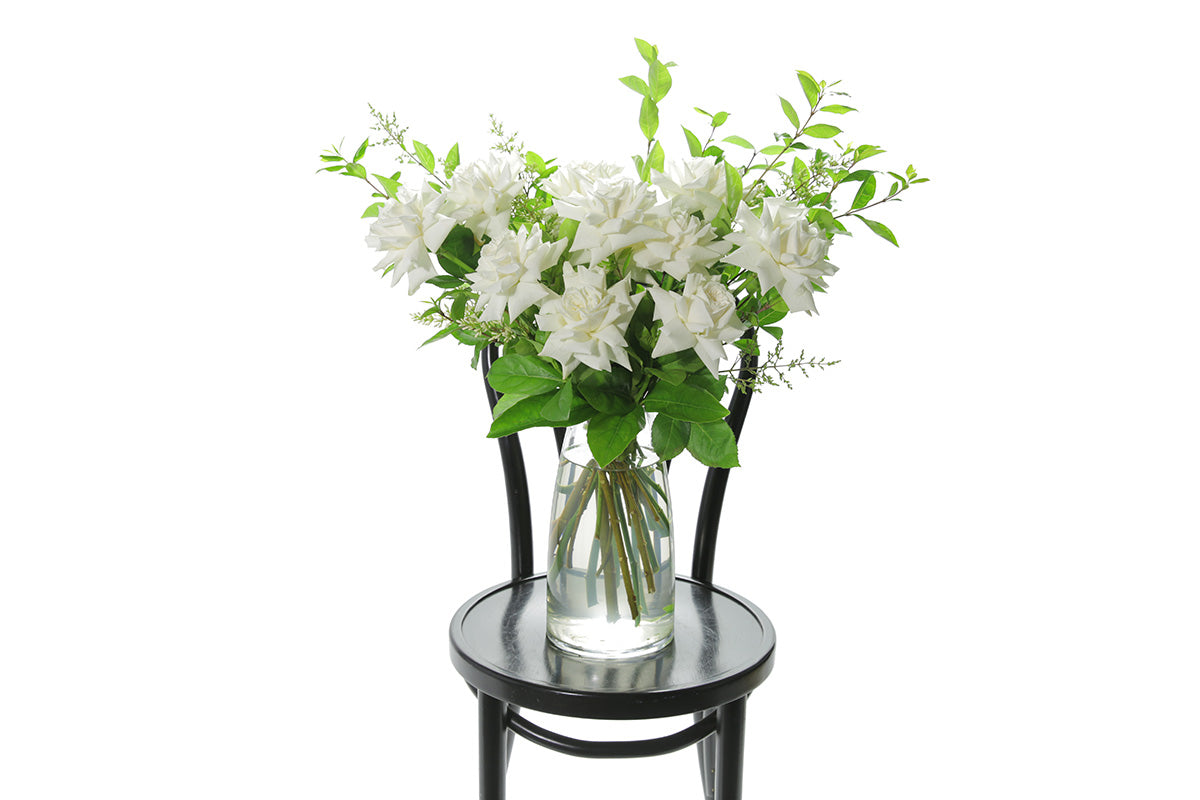 White reflexed roses displayed in a clear glass tapered vase sitting on a black bentwood chair with white background. 