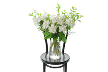 White reflexed roses displayed in a clear glass tapered vase sitting on a black bentwood chair with white background. 