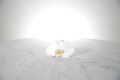 Kate Hill Flowers – blush Phalaenopsis orchid buttonhole flower with black-taped stem and pearl pin on a marble table setting.