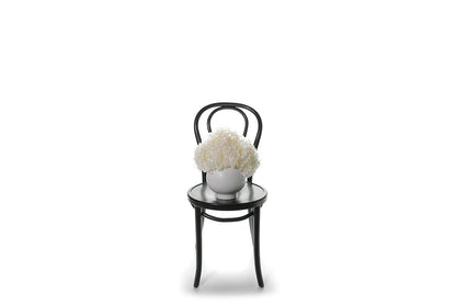 A modern white ball ceramic vase displaying a dome of white preserved dried hydrangeas. Design is sitting on black bentwood chair with white wall background.