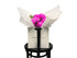 Bouquet of hot pink flowers in a white paper wrap sitting on a black wood chair, against a white wall.