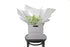 Fragrant bouquet of white sweetpea sitting on a black bentwood chair. Bouquet is beautifully wrapped in the Kate Hill signature wrapping and placed into a Kate Hill flower bag. Our CAMILA Sweetpea Flower Bouquet is an all rounded, simple dome posy featuring fragrant White Sweet-pea. A petite, sweet, fragrant posy perfect for those who love elegant fragrance and who appreciate Sweet-peas for their soft beauty and scent.