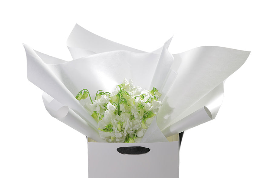 Close up image of the white sweetpeas. You can see the stunning blooms and gift wrapping. Fragrant bouquet of white sweetpea sitting on a black bentwood chair. Bouquet is beautifully wrapped in the Kate Hill signature wrapping and placed into a Kate Hill flower bag. Our CAMILA Sweetpea Flower Bouquet is an all rounded, simple dome posy featuring fragrant White Sweet-pea. A petite, sweet, fragrant posy perfect for those who love elegant fragrance and who appreciate Sweet-peas for their soft beauty and scent.