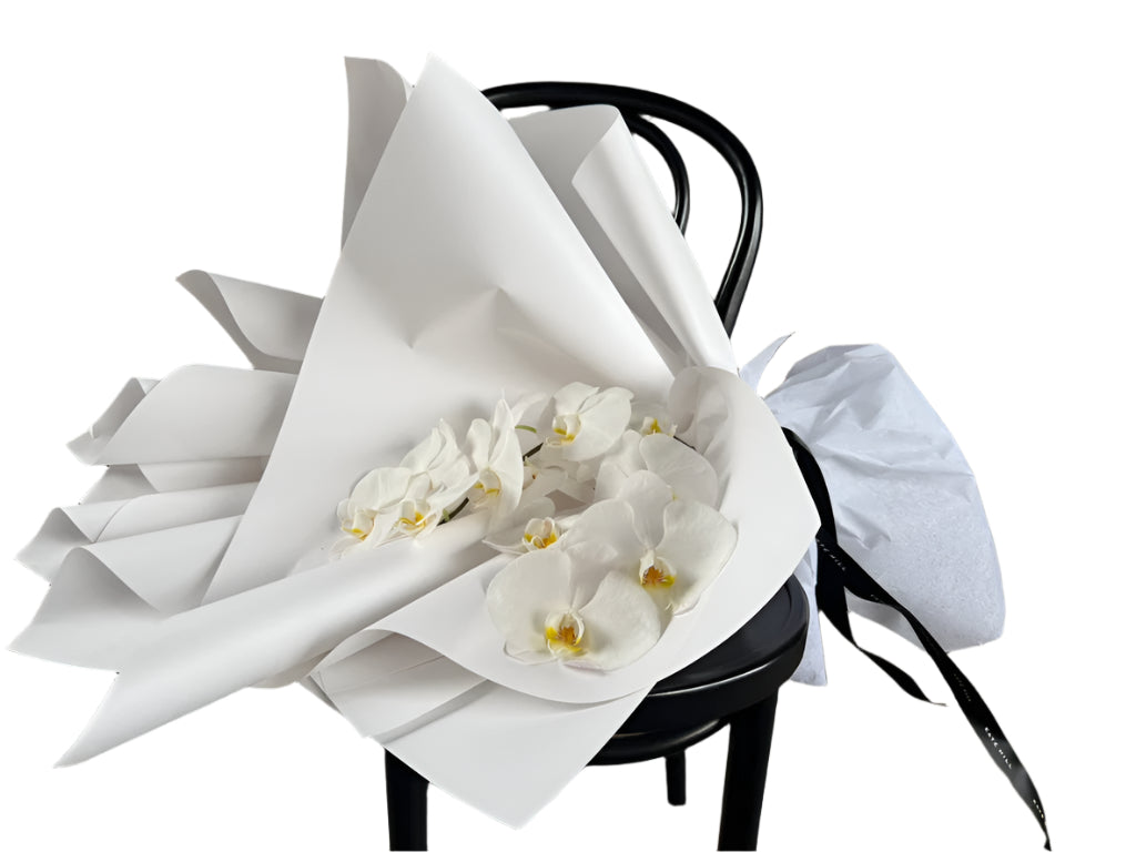 White phalaenopsis orchid gift bouquet on a white background.